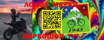 дмт Кингисепп