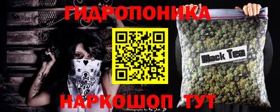 дмт Кингисепп