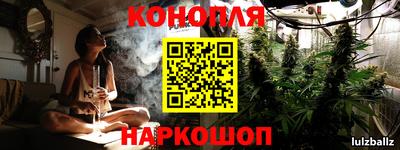 дмт Кингисепп