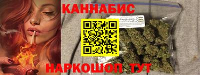 дмт Кингисепп