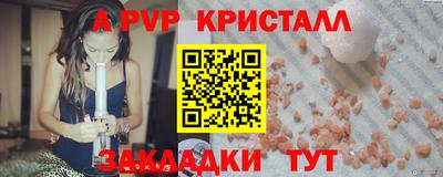 дмт Кингисепп