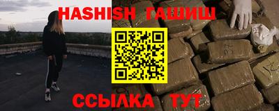 дмт Кингисепп