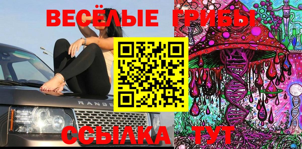 Галлюциногенные грибы Psilocybe Кохма