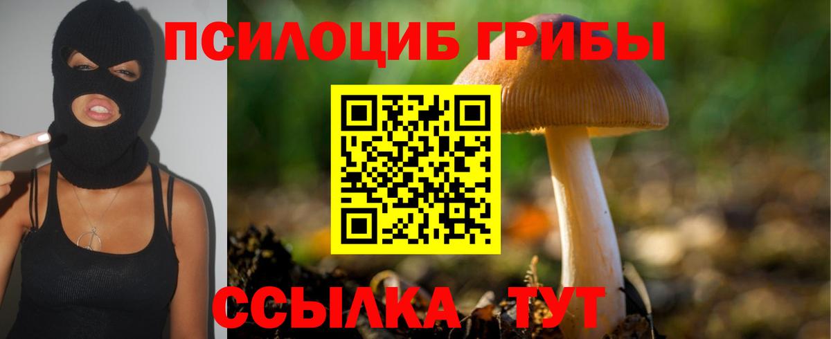 Кохма  Галлюциногенные грибы Magic Shrooms  Вход с VPN 